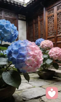 专注高知女性的情绪与婚姻，用阅历与专业，给你一份不敷衍的深度陪伴与疗愈配图