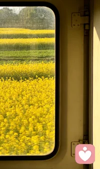 确定不了，我们什么时候到这个世界来，
也确定不了，什么时候我们离开这个世界，

但，我们可以确定
——怎样选择去过我们想要的活法。

旭日情感修复陪跑与你共进退，做你的幸福合伙人