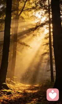 确定不了，我们什么时候到这个世界来，
也确定不了，什么时候我们离开这个世界，

但，我们可以确定
——怎样选择去过我们想要的活法。

旭日情感修复陪跑与你共进退，做你的幸福合伙人