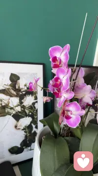 中年老登不对牛弹琴，谈生存，谈自由，谈健康，谈心情，谈真正对你好的人！配图