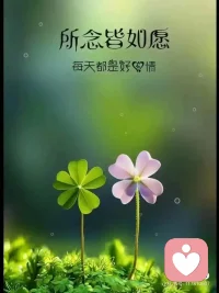 尽力之后，就随缘吧！人的手就那么大，握不住的东西太多了，要学会与自己和解。得到了未必是福，失去了未必是祸，你以为的遗憾，其实有可能是躲过了一劫。拐个弯与生活和解。配图