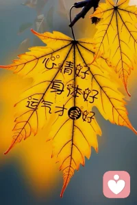 NPD = 自恋型人格障碍（Narcissistic Personality Disorder），属于精神医学里的B类人格障碍，核心是：长期自我夸大、极度需要赞美、缺乏共情、爱剥削他人 。
 
下面用最直白、好记的方式讲清楚：
 
 
 
一、核心9条（DSM‑5 诊断标准，满足≥5条可考虑）
 
1. 自我夸大：总觉得自己特别牛、高人一等，常吹牛、夸大成就。
2. 幻想成瘾：满脑子“无限成功、权力、才华、完美爱情”，活在幻想里。
3. 特殊感：认为自己是“独特/特殊的”，只配跟同样“高级”的人交往。
4. 要赞美：极度需要持续关注和崇拜，缺了就难受、愤怒。
5. 特权感：觉得自己该被特殊对待、不守规则，别人都该顺着他。
6. 爱利用人：把别人当工具，为达目的不择手段，用完就扔。
7. 无共情：很难感受别人的痛苦和需求，冷漠、不会换位思考。
8. 爱嫉妒/觉得别人嫉妒自己：常嫉妒别人，或坚信别人都嫉妒他。
9. 傲慢态度：说话做事高高在上、轻视他人、爱摆架子。
 
一句话：表面极度自信，内心极度自卑；靠吸别人的认可活着，没能力爱别人。
 
 
 
二、常见两种类型
 
- 浮夸型（厚脸皮）：张扬、傲慢、爱炫耀、控制欲强、攻击性强。
- 脆弱型（薄脸皮）：表面内向敏感、玻璃心、易羞耻，暗地里记仇、报复心强、爱装可怜操控人。
 
共同点：缺共情、爱操控、翻脸快、冷暴力/PUA高手。
 
 
 
三、NPD 在关系里的典型套路（很准）
 
1. 理想化期（热恋轰炸）：对你超好、夸你完美、秒回、送礼物、灵魂伴侣，快速绑定。
2. 贬低期（打压）：得到后开始挑刺、否定、贬低、冷暴力、三角关系、忽冷忽热，摧毁你自信。
3. 抛弃期：你崩溃、质疑他时，他无缝切换、拉黑消失、找下家，毫无愧疚。
 
俗称：先把你捧上天，再把你踩进泥里，最后转身走人。
 
 
 
四、NPD 不是“爱自己”
 
- 健康自爱：稳定自尊、懂边界、能共情、会爱别人也爱自己。
- NPD：没有稳定自我，靠别人的赞美续命；不会真正爱任何人，包括自己。
 
 
 
五、遇到 NPD 怎么办（实用）
 
- 别试图拯救/改变他：几乎无效，还会被拖垮。
- 及时止损、物理隔离：减少接触、不辩解、不期待道歉。
- 建立边界、降低期待：不指望共情、不解释、不接情绪。
- 别自我怀疑：他的贬低是他的问题，不是你不够好。配图