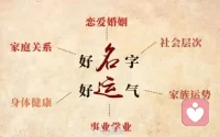 追不上的，不追！背不动的，放下!
看不惯的，删除！渐行渐远的，随意！不
属于自己的，不要!
做，自己想做的事，听，最想听的声音，见，最想见的人，如此简单，甚好!