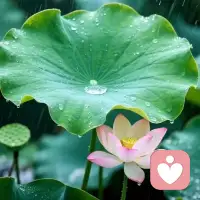 找男人的意义   是撑腰 是兜底   不是在你有事的时候  站在对面评判你·
一个男人最大的魅力   是用稳定的情绪接住你的慌乱  用行动解决眼前难题·