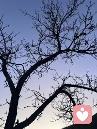 一定要趁早的意识到，其实这个世界只有你一个人，你在乎这个世界就在你没了，世界也消失了，此刻当下就是你生命中最好的年纪，身体健康，亲人安在现世安稳，可别因为一点小事就把自己的情绪弄得一团糟，你所拥有的远比你想象的要多的多，配图