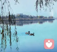 我是一名倾听者，不评判、不说教、不打断。
在这里，你可以放心卸下所有疲惫与伪装，
把委屈、焦虑、迷茫、难过，慢慢说给我听。
我会安静陪伴，温柔接住你的所有情绪，
陪你看见自己，治愈自己，慢慢变好。配图