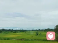 我是一名倾听者，不评判、不说教、不打断。
在这里，你可以放心卸下所有疲惫与伪装，
把委屈、焦虑、迷茫、难过，慢慢说给我听。
我会安静陪伴，温柔接住你的所有情绪，
陪你看见自己，治愈自己，慢慢变好。配图