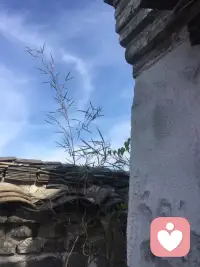 每个人都会有一段异常艰难的时光，生活的窘迫，工作的失意，爱的惶惶不可终日，挺过来的人，人生就会豁然开朗；挺不过来的，时间也会教你怎样与它们握手言和，所以，不必害怕。配图