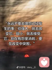 永远不要去埋怨已经发生了的事，你强大，就去改变它，弱小，就去接受它配图