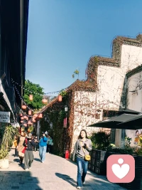 相遇本身并不会自动带来成长，真正改变人的，是在相遇之中看见自己的反应。对方只是一个条件，让某些原本隐藏的情绪与习惯显现出来。[玫瑰]配图