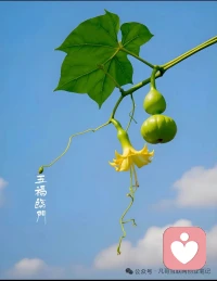 好运从来不是天上掉下来的，
是你低头努力时，顺便遇见的。配图