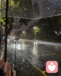 我不高兴,是指精神的我
我发烧了,是指肉身的我
我想自杀,
是指精神的我要杀死肉身的我;
我不敢死,
是肉身的我在哀求精神的我。
我想结束的是痛苦,不是生命。配图