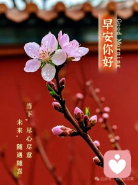 新的一天，先拥抱自己，再拥抱世界。早安。