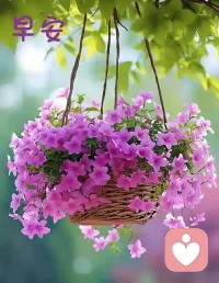 你焦虑的99%事情，大脑都在虚构灾难片。早安配图