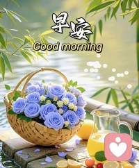 孤独感提醒你：该给情感账户存款了。早安配图