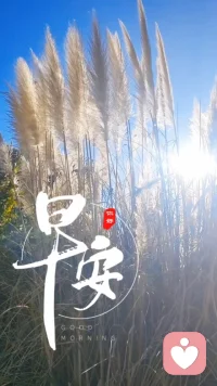 健康的爱是：‘我需要你，但不绑架你’。早安配图