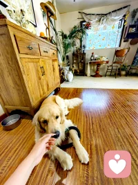 不要期待任何人能成为你的靠山，人只会因为有价值而被爱，不会因为缺爱而被爱。当你真正活明白的时候，你就再也没有那种特别想要维护的关系，人与人之间最好的关系就是没有关系，因为和任何人走的太近 ，都是一场灾难，生命终将是一场孤独的旅程，对他人的期待，就是对自己最大的暴力，一旦你期待别人按照你的方式来回应你，就会被现实狠狠打脸，早早接受无人托底的一生，是对我们自己的一种保护，生而悦己，而非顾虑他人。配图