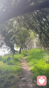 我该怎么表达我现在的状态呢，很平静，但也很难过。平静是因为我终于接受了某些我无法改变的事实，而难过也恰恰来自于这份平静，我竟然就这样接受了。可我也知道我会好的，只是在此刻，我与我的难过安静对坐着谁也不说话。配图