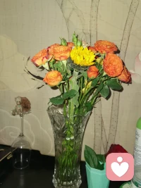 诸事何言对错，樊篱早困行人。。。。配图