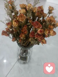 4. 真正的平静，不是避开车马喧嚣，而是在心中修篱种菊。配图