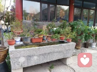 亲密关系像一株植物，惊艳的盛开往往只有一瞬，漫长的是共同养护的四季。配图