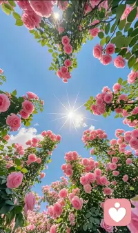 凌晨四点半醒来就再也睡不着，索性上线陪陪大家。
刚上线就遇到一位姐妹，和我聊起婚姻和育儿的烦恼，她说这些心事让她长期失眠。
我安安静静听她诉说，像朋友一样陪她说说话，给她一点小小的建议。
很感谢她的信任与好评。
 
如果你也因为心事辗转难眠，不知道和谁诉说，
可以来找米兰聊聊，我一直都在，听你说，陪你扛。配图