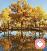 “把期待收回，把爱自己置顶，婚姻不过是人生的一场选修课。”

姐妹们，我们总以为婚姻是爱情的圆满结局，可走着走着才发现，它更像一场修行。
你是不是也常常在深夜里崩溃：为了柴米油盐的琐碎，为了他视而不见的冷漠，为了自己被消磨殆尽的热情？
其实，困住我们的从来不是婚姻本身，而是那份“我必须完美”、“我要顾全大局”的执念。
真正的清醒，是当你发现这段关系无法给你滋养时，敢于及时止损；是当你付出真心却被辜负时，敢于转身离开。
女人这一生，最该嫁的，是那个能让你做回自己的人。
如果没有，那就做自己的光，不必借谁的火。爱自己，才是终身浪漫的开始。