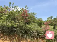 人一旦闲下来，心里那些委屈、遗憾、不开心就全都翻涌上来；可一旦把日子填满，忙着生活、忙着做事、忙着往前走，情绪就没空隙钻进来。不是真的彻底忘了，是用忙碌把难过暂时挡在身后，慢慢熬、慢慢淡化、慢慢自愈。等日子慢慢往前走，再回头看，那些曾经放不下的不开心，早就悄悄变淡了。累了就好好忙起来，也是一种温柔的自救。配图