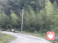 人生漫漫，人海浮沉，知己可遇不可求。不是所有遇见都能走心，不是所有相逢都能懂你悲欢。有幸得一知己，懂你的欲言又止，知你的冷暖心酸，无需刻意讨好，不必伪装逞强。往后余生，愿以真心相待，以岁月相守，遇见了，就别轻易放手，好好珍惜。