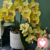 后来才懂，真心从来不是等价交换。别再傻傻掏心掏肺，也别被别人的表面热情骗了。有些人看着温柔和善，心里从来没把你当真，你的满心真诚，在别人眼里不过是可有可无。往后余生，收起天真，待人留三分，真心只给懂得珍惜你的人。配图