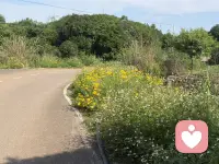 女人想要往后过得好，一定要记住：富养自己，放手孩子，放养老公。别再围着家庭、老公、孩子打转，耗尽自己。富养自己，养好情绪、稳住底气，内心才有安全感。孩子学会放手，不必事事包办；
老公懂得放养，不必事事管控。后半生，少纠结、不内耗，好好爱自己，余生才舒心自在。配图