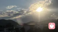 清晨站在阳台，迎着温柔的晨光放眼望去。阳光铺满眼前，空气都格外清爽舒心。平凡的日常里，总藏着不期而遇的美好。不必追赶匆忙，静下心感受当下光景。崭新明媚的一天已经开场，愿往后日子，温暖向阳，万事顺遂，带着好心情，认真度过这美好一天。配图
