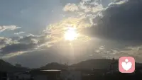 清晨站在阳台，迎着温柔的晨光放眼望去。阳光铺满眼前，空气都格外清爽舒心。平凡的日常里，总藏着不期而遇的美好。不必追赶匆忙，静下心感受当下光景。崭新明媚的一天已经开场，愿往后日子，温暖向阳，万事顺遂，带着好心情，认真度过这美好一天。配图