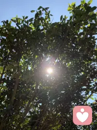 成年人的生活，从来都没有容易二字。到了适婚年纪，不少人慢慢变成了为结婚而结婚。富二代的婚姻绕不开家族联姻，普通人的婚姻不过是找个人搭伙度日。家家有本难念的经，你眼中光鲜的旁人，也都藏着不轻易示人的伤痕。世事纷繁，到头来才懂，好好爱自己，才是余生最深情的告白。配图
