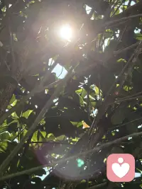 好好经营婚姻，才是人生最好的投资。事业能重来，财富能再赚，可选错婚姻，往往消耗一生。婚姻从不是一纸证书就一劳永逸，而是一辈子的用心相守。多陪伴、懂包容、常沟通，守好小家，便是守住一生的福气。人生下半场，拼的从不是名利财富，而是和睦的家庭与知心的爱人。婚姻需要用心维护，彼此体谅、相互珍惜，三餐四季，朝夕相伴。把婚姻经营好，日子安稳，内心踏实，余生皆是温暖顺遂。配图