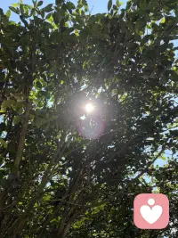 好好经营婚姻，才是人生最好的投资。事业能重来，财富能再赚，可选错婚姻，往往消耗一生。婚姻从不是一纸证书就一劳永逸，而是一辈子的用心相守。多陪伴、懂包容、常沟通，守好小家，便是守住一生的福气。人生下半场，拼的从不是名利财富，而是和睦的家庭与知心的爱人。婚姻需要用心维护，彼此体谅、相互珍惜，三餐四季，朝夕相伴。把婚姻经营好，日子安稳，内心踏实，余生皆是温暖顺遂。配图