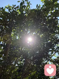 好好经营婚姻，才是人生最好的投资。事业能重来，财富能再赚，可选错婚姻，往往消耗一生。婚姻从不是一纸证书就一劳永逸，而是一辈子的用心相守。多陪伴、懂包容、常沟通，守好小家，便是守住一生的福气。人生下半场，拼的从不是名利财富，而是和睦的家庭与知心的爱人。婚姻需要用心维护，彼此体谅、相互珍惜，三餐四季，朝夕相伴。把婚姻经营好，日子安稳，内心踏实，余生皆是温暖顺遂。配图