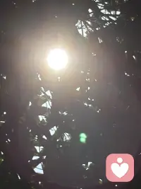 好好经营婚姻，才是人生最好的投资。事业能重来，财富能再赚，可选错婚姻，往往消耗一生。婚姻从不是一纸证书就一劳永逸，而是一辈子的用心相守。多陪伴、懂包容、常沟通，守好小家，便是守住一生的福气。人生下半场，拼的从不是名利财富，而是和睦的家庭与知心的爱人。婚姻需要用心维护，彼此体谅、相互珍惜，三餐四季，朝夕相伴。把婚姻经营好，日子安稳，内心踏实，余生皆是温暖顺遂。配图