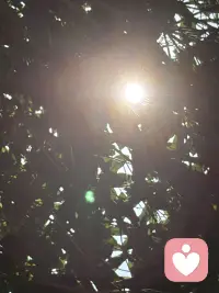好好经营婚姻，才是人生最好的投资。事业能重来，财富能再赚，可选错婚姻，往往消耗一生。婚姻从不是一纸证书就一劳永逸，而是一辈子的用心相守。多陪伴、懂包容、常沟通，守好小家，便是守住一生的福气。人生下半场，拼的从不是名利财富，而是和睦的家庭与知心的爱人。婚姻需要用心维护，彼此体谅、相互珍惜，三餐四季，朝夕相伴。把婚姻经营好，日子安稳，内心踏实，余生皆是温暖顺遂。配图