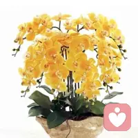 恋爱的滤镜 vs 婚姻的现实
恋爱时，双方的互动集中在“一起做饭、洗碗”这类温馨小事上，共同营造的浪漫感会弱化现实差异。但结婚后，男性对“事业优先”的执念，会让他不自觉减少对浪漫细节的投入，这种落差很容易让女性感到失望。配图
