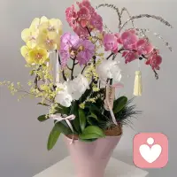 恋爱的滤镜 vs 婚姻的现实
恋爱时，双方的互动集中在“一起做饭、洗碗”这类温馨小事上，共同营造的浪漫感会弱化现实差异。但结婚后，男性对“事业优先”的执念，会让他不自觉减少对浪漫细节的投入，这种落差很容易让女性感到失望。配图