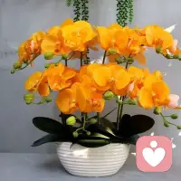 “一年级的孩子，每天两个生字抄五行，数学题同一类型刷三四遍。短期看，作业全对、分数好看；长期看，孩子只会形成惰性思维，懒得动脑。小学阶段最该抓的，从来不是机械重复，而是思维力和好奇心。别用刷题消耗孩子的热情，保护他的思考力，才是给孩子最好的礼物。”配图