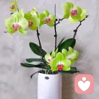 “一年级的孩子，每天两个生字抄五行，数学题同一类型刷三四遍。短期看，作业全对、分数好看；长期看，孩子只会形成惰性思维，懒得动脑。小学阶段最该抓的，从来不是机械重复，而是思维力和好奇心。别用刷题消耗孩子的热情，保护他的思考力，才是给孩子最好的礼物。”配图