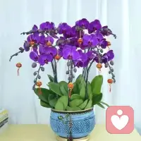 “一年级的孩子，每天两个生字抄五行，数学题同一类型刷三四遍。短期看，作业全对、分数好看；长期看，孩子只会形成惰性思维，懒得动脑。小学阶段最该抓的，从来不是机械重复，而是思维力和好奇心。别用刷题消耗孩子的热情，保护他的思考力，才是给孩子最好的礼物。”配图