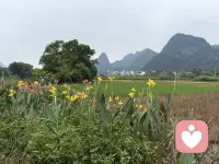 为什么付出越多，越不被珍惜
1. 人性的惯性：易得的东西，本就廉价
不用费力就能得到的关心、包容、退让，对方会慢慢当成理所当然。不再心怀感激，反而觉得“你本来就该这样”。
2. 失去边界，也失去吸引力
把生活重心全绑在对方身上，放弃爱好、社交、脾气和底线，慢慢活成对方的附属品。没有自我的人，很难被长久珍视。
3. 付出不对等，心态容易失衡
你默默扛下所有委屈，心里积攒期待，一旦对方回馈太少，失望就会叠加。负面情绪慢慢蔓延，彼此都会觉得疲惫。配图