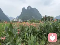 为什么付出越多，越不被珍惜
1. 人性的惯性：易得的东西，本就廉价
不用费力就能得到的关心、包容、退让，对方会慢慢当成理所当然。不再心怀感激，反而觉得“你本来就该这样”。
2. 失去边界，也失去吸引力
把生活重心全绑在对方身上，放弃爱好、社交、脾气和底线，慢慢活成对方的附属品。没有自我的人，很难被长久珍视。
3. 付出不对等，心态容易失衡
你默默扛下所有委屈，心里积攒期待，一旦对方回馈太少，失望就会叠加。负面情绪慢慢蔓延，彼此都会觉得疲惫。配图