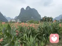 为什么付出越多，越不被珍惜
1. 人性的惯性：易得的东西，本就廉价
不用费力就能得到的关心、包容、退让，对方会慢慢当成理所当然。不再心怀感激，反而觉得“你本来就该这样”。
2. 失去边界，也失去吸引力
把生活重心全绑在对方身上，放弃爱好、社交、脾气和底线，慢慢活成对方的附属品。没有自我的人，很难被长久珍视。
3. 付出不对等，心态容易失衡
你默默扛下所有委屈，心里积攒期待，一旦对方回馈太少，失望就会叠加。负面情绪慢慢蔓延，彼此都会觉得疲惫。配图