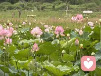 婚姻里最好的相处：付出有分寸，爱人先爱己
1.付出要“双向”：你的好，要留给懂得回应的人。单方面的奉献不是深情，是内耗。
2.保留底线和脾气：不必事事忍让，该拒绝就拒绝，有棱角的人，才会被尊重。
3.分一半精力给自己：经营身材、情绪、事业和圈子，你活得精彩，感情才会有张力。
4.爱别满格：七分爱对方，三分留自己。留有余地的感情，才能走得长久。
好的婚姻从来不是一个人拼命成全，而是两个人彼此心疼、互相兜底。配图