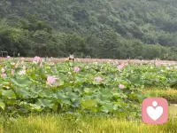 婚姻里最好的相处：付出有分寸，爱人先爱己
1.付出要“双向”：你的好，要留给懂得回应的人。单方面的奉献不是深情，是内耗。
2.保留底线和脾气：不必事事忍让，该拒绝就拒绝，有棱角的人，才会被尊重。
3.分一半精力给自己：经营身材、情绪、事业和圈子，你活得精彩，感情才会有张力。
4.爱别满格：七分爱对方，三分留自己。留有余地的感情，才能走得长久。
好的婚姻从来不是一个人拼命成全，而是两个人彼此心疼、互相兜底。配图