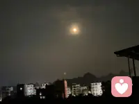 今晚四🈷️十六的圆月，圆满得恰到好处。清辉洒落时，宛若佛光遍洒人间，温柔又安宁；转瞬之间，又似灼灼火球，热烈耀眼。静静凝望，圆月又化作一朵盛放的清莲，澄澈不染尘埃。抬头望月，心也跟着慢慢沉静下来。配图